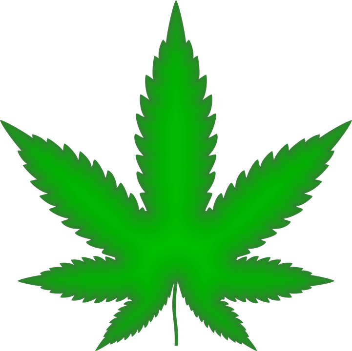marijuana-2766343_960_720