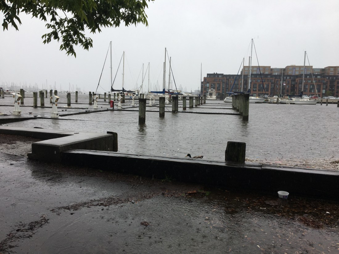 1C0AF746-9A62-4665-85E4-6276A78FD147