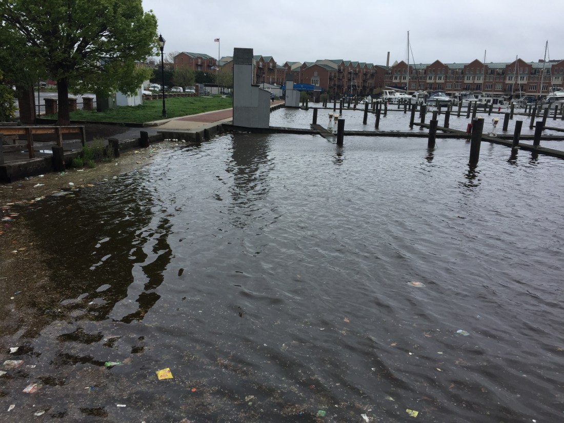 3759DC08-7FCB-4A8E-8B6F-88F4F17C78A7