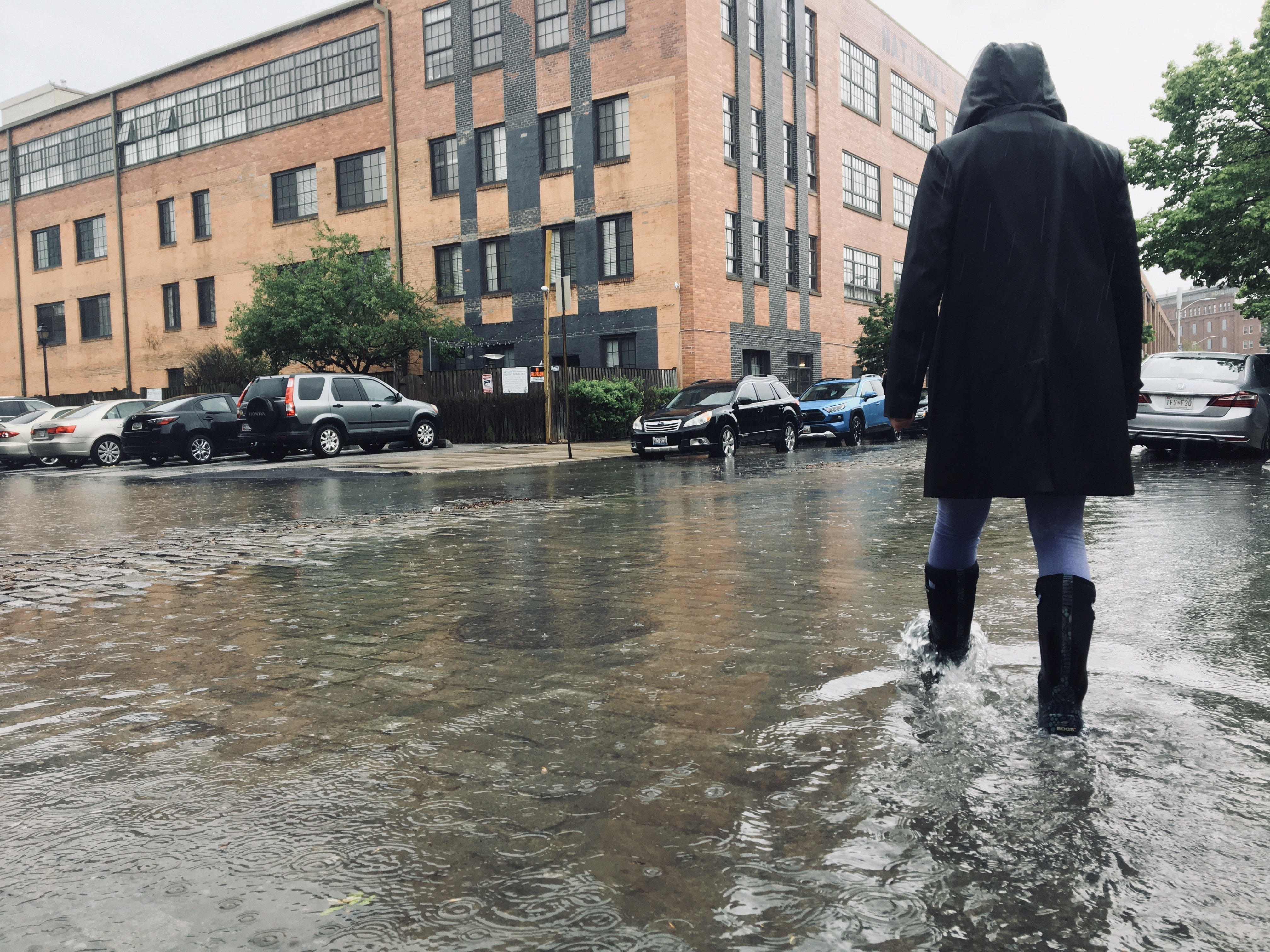 E20BCA3A-4459-4208-9CD3-E27F0B021F48_1_201_a